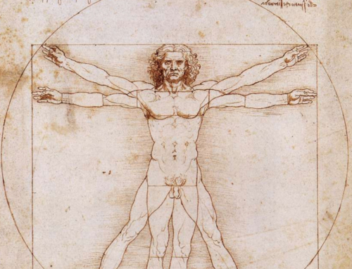 Androzentrismus in der Ökonomie: Eine feministische Analyse des Homo oeconomicus